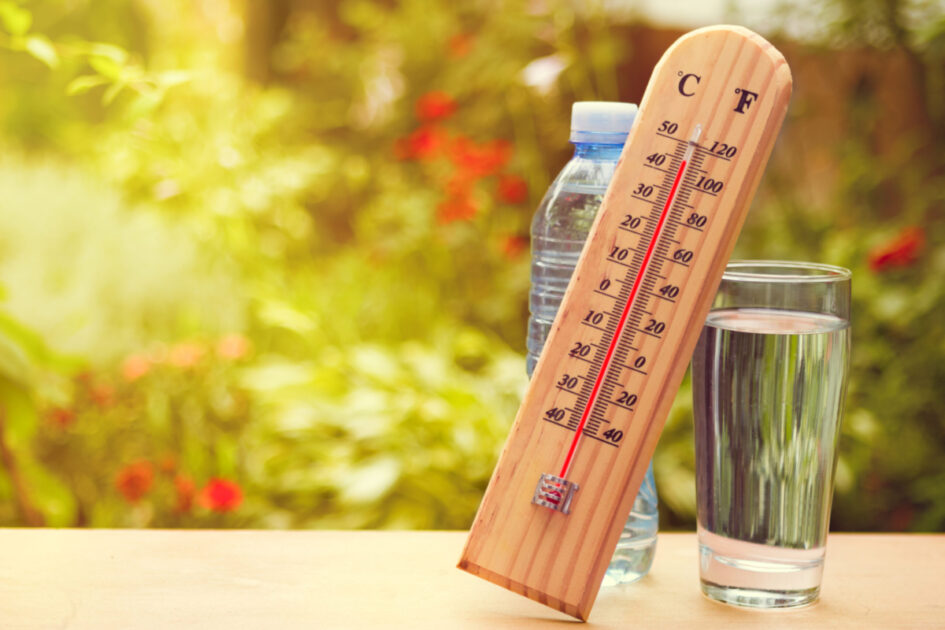 Image représentant la canicule