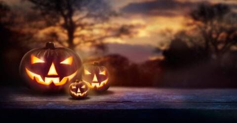 Image illustrant des citrouilles changées en décoration d'Halloween