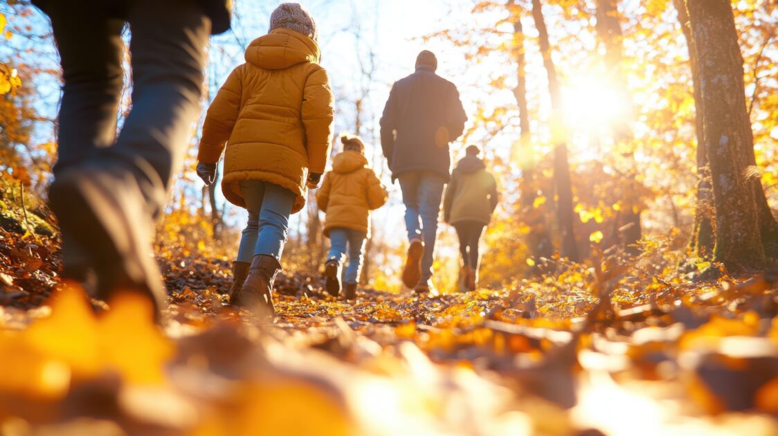 Image d'une famille qui se promène dans la forêt